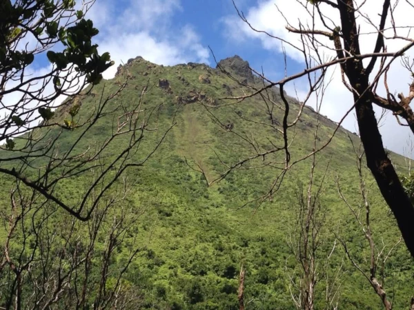 Vue du volcan de la Soufrière en Guadeloupe